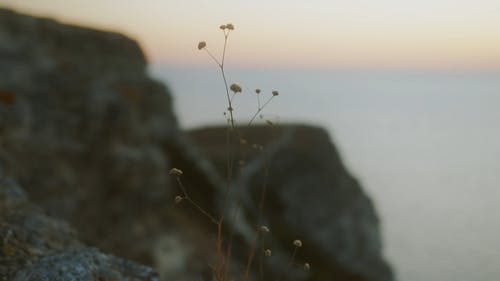 有关天性, 岩石海岸, 悬崖海岸的免费素材视频