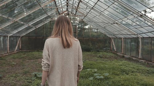 有关女人, 後视图, 放弃的免费素材视频