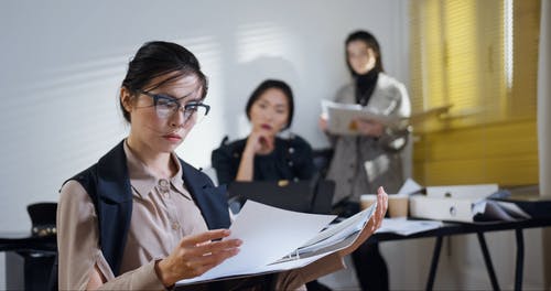 有关事业, 多样化, 女性的免费素材视频