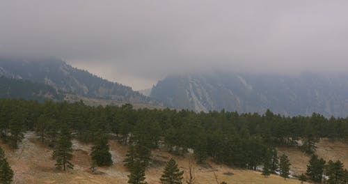 有关下雪, 冬季, 天性的免费素材视频