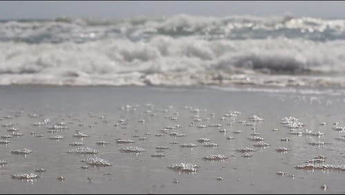 有关天性, 招手, 水的免费素材视频