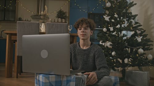 有关假日季节, 圣诞变焦电话, 在家的免费素材视频