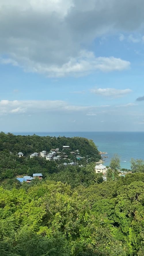 有关垂直视频, 天性, 天空的免费素材视频