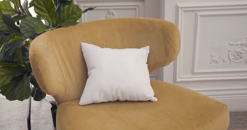 有关Throw Pillows, 客厅, 室内植物的免费素材视频