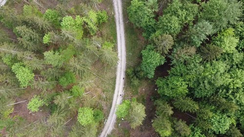 有关包包, 地面, 增长的免费素材视频