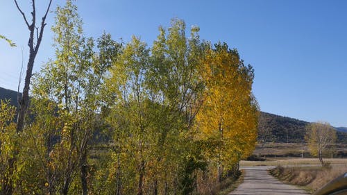 有关乡村小路, 公路旅行, 冒险的免费素材视频