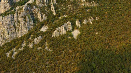 有关下落, 优美的风景, 天性的免费素材视频