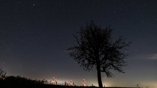 有关夜空, 天文学, 明星的免费素材视频