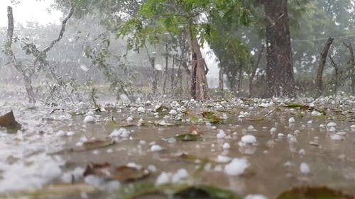 有关多雨的, 天性, 天气的免费素材视频