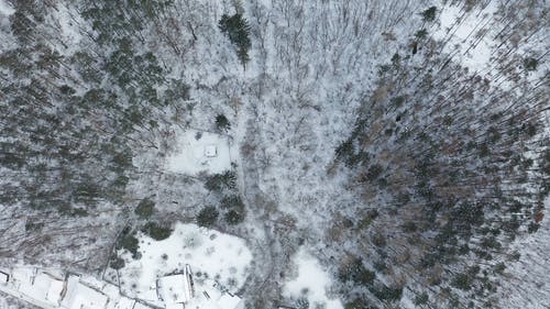 有关下雪, 冬季, 冬季景观的免费素材视频