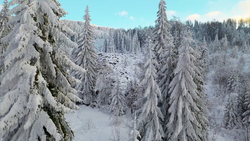 有关4k, ICEE, 下雪的的免费素材视频