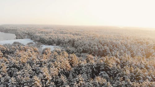 有关下雪的, 冬季, 冷冰冰的免费素材视频