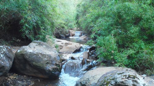 有关小河, 岩石, 工厂的免费素材视频