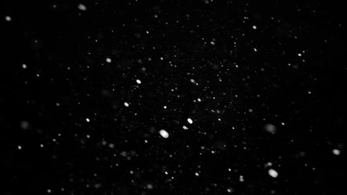 有关下雪, 下雪的, 下雪的天气的免费素材视频