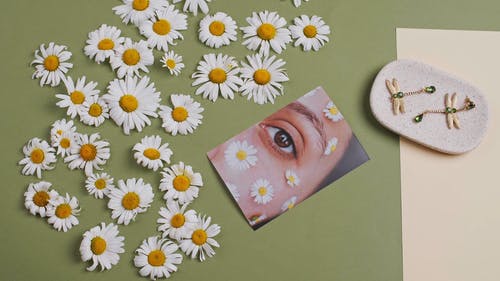 有关Flatlay, 概念的, 照片的免费素材视频