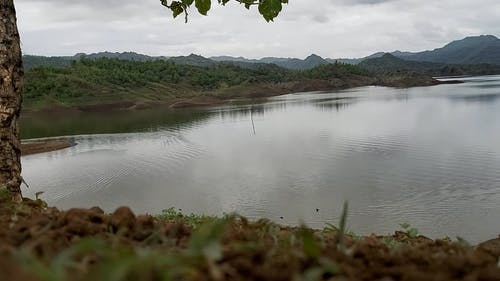 有关冷静, 和平的, 天性的免费素材视频