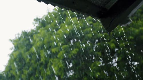 有关下雨, 下雨天, 天气的免费素材视频