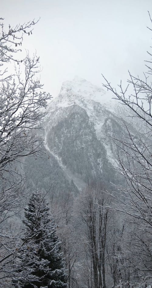 有关@户外, 下雪的天气, 冬季的免费素材视频