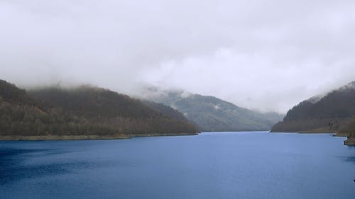 有关天性, 宁静, 户外的免费素材视频