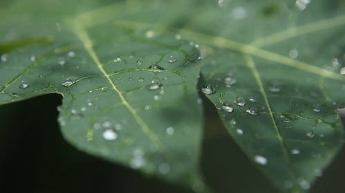 有关工厂, 水, 水滴的免费素材视频