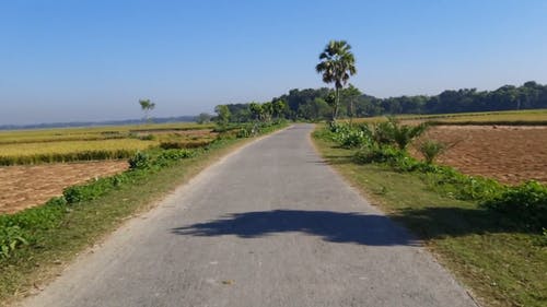 有关公路旅行, 冒险, 农业领域的免费素材视频