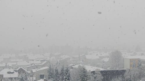 有关下雪, 下雪的, 冬季的免费素材视频