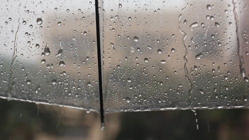 有关@户外, 下雨, 幻灯片的免费素材视频