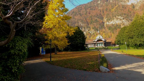 有关atmosfera de outono, 全景, 天性的免费素材视频