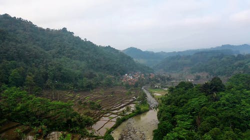 有关下田, 农业用地, 和平的的免费素材视频