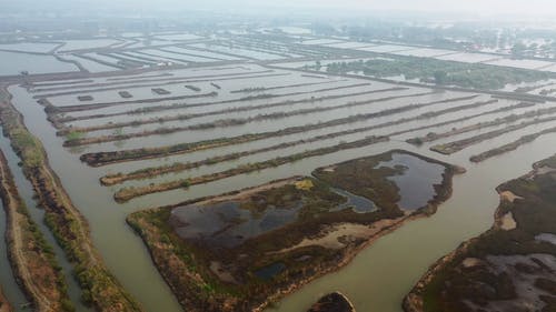 有关农业用地, 稻田, 空拍机连续镜头的免费素材视频