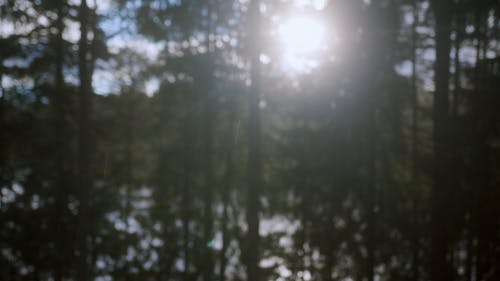 有关下雨, 天性, 户外的免费素材视频