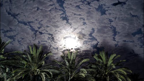 有关在云间, 多云的天空, 夜背景的免费素材视频