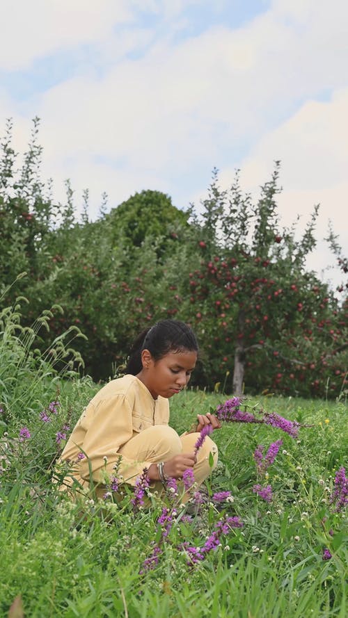 一个十几岁的女孩，从草丛中摘野花 · 免费素材视频