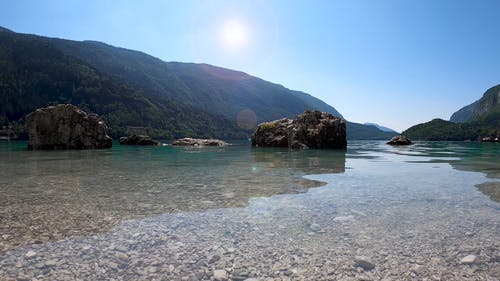 有关4k, 冷静, 天性的免费素材视频