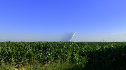 有关农业领域, 地平线, 晴朗的天空的免费素材视频