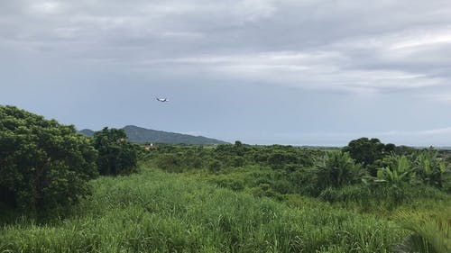 有关天空, 平面, 户外的免费素材视频