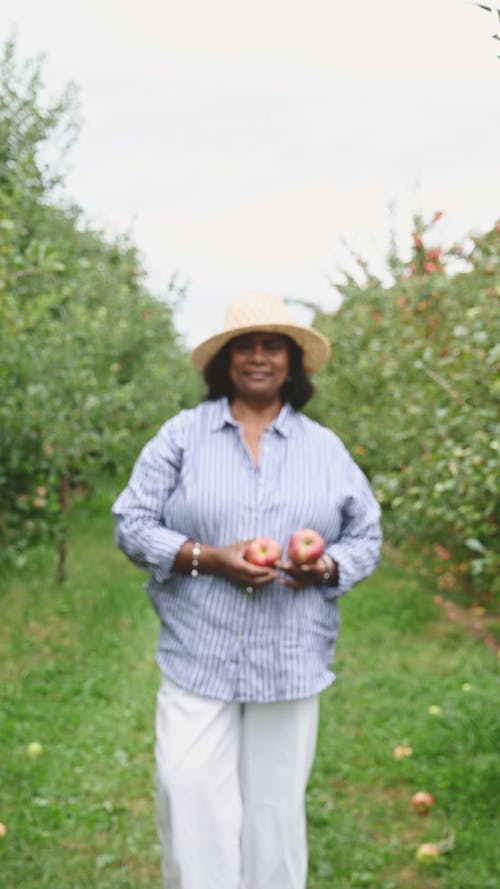一个女人抱着新鲜采摘的苹果 · 免费素材视频