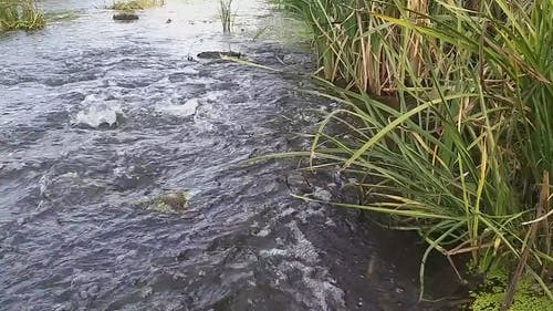 有关急流, 水, 水流的免费素材视频