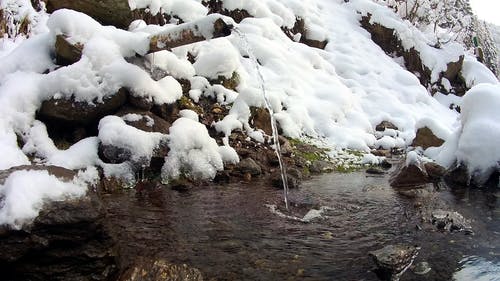 有关下雪的, 公园, 冬季的免费素材视频