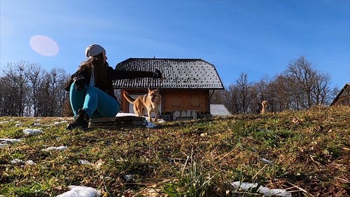 有关@户外, 享受, 假期的免费素材视频