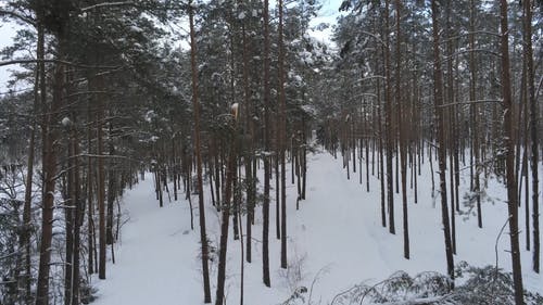 有关4k视频, 下雪的, 冷的免费素材视频