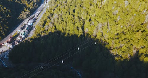 有关建筑, 户外, 森林的免费素材视频