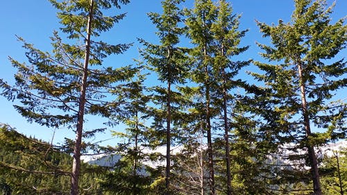 有关天性, 山, 山顶风光的免费素材视频