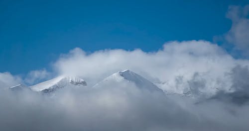 有关冬季, 天性, 寒冷的天气的免费素材视频