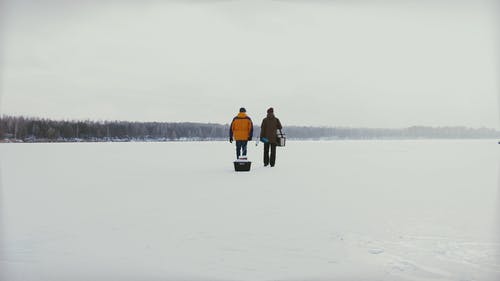 有关下雪, 全景, 冬季的免费素材视频