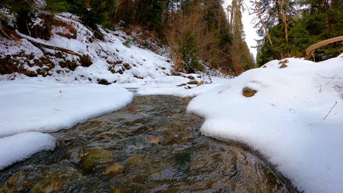 有关下雪的, 冬季, 寒冷的天气的免费素材视频