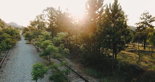 有关天性, 户外, 日光的免费素材视频