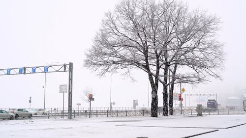 有关下雪, 冬季, 冰的免费素材视频