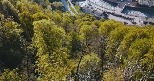 有关光, 城市, 山丘的免费素材视频