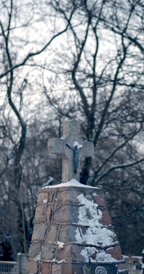 有关rip, 下雪的, 下雪的天气的免费素材视频